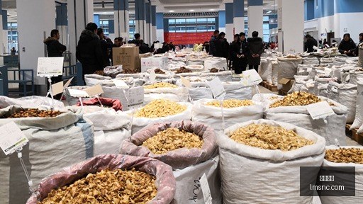 埃及阿斯旺,省交通事故,名中国公民,大发棋牌,大发游戏,棋牌娱乐,真人棋牌,大发app